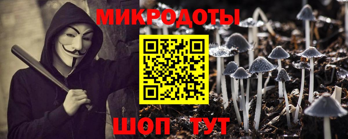 Псилоцибиновые грибы Psilocybine cubensis  Вход с VPN  Калуга 